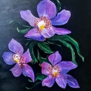 Meet your Posher, Ellen